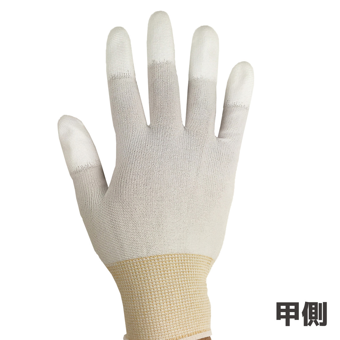 ZC-41 低発塵性手袋 image 2